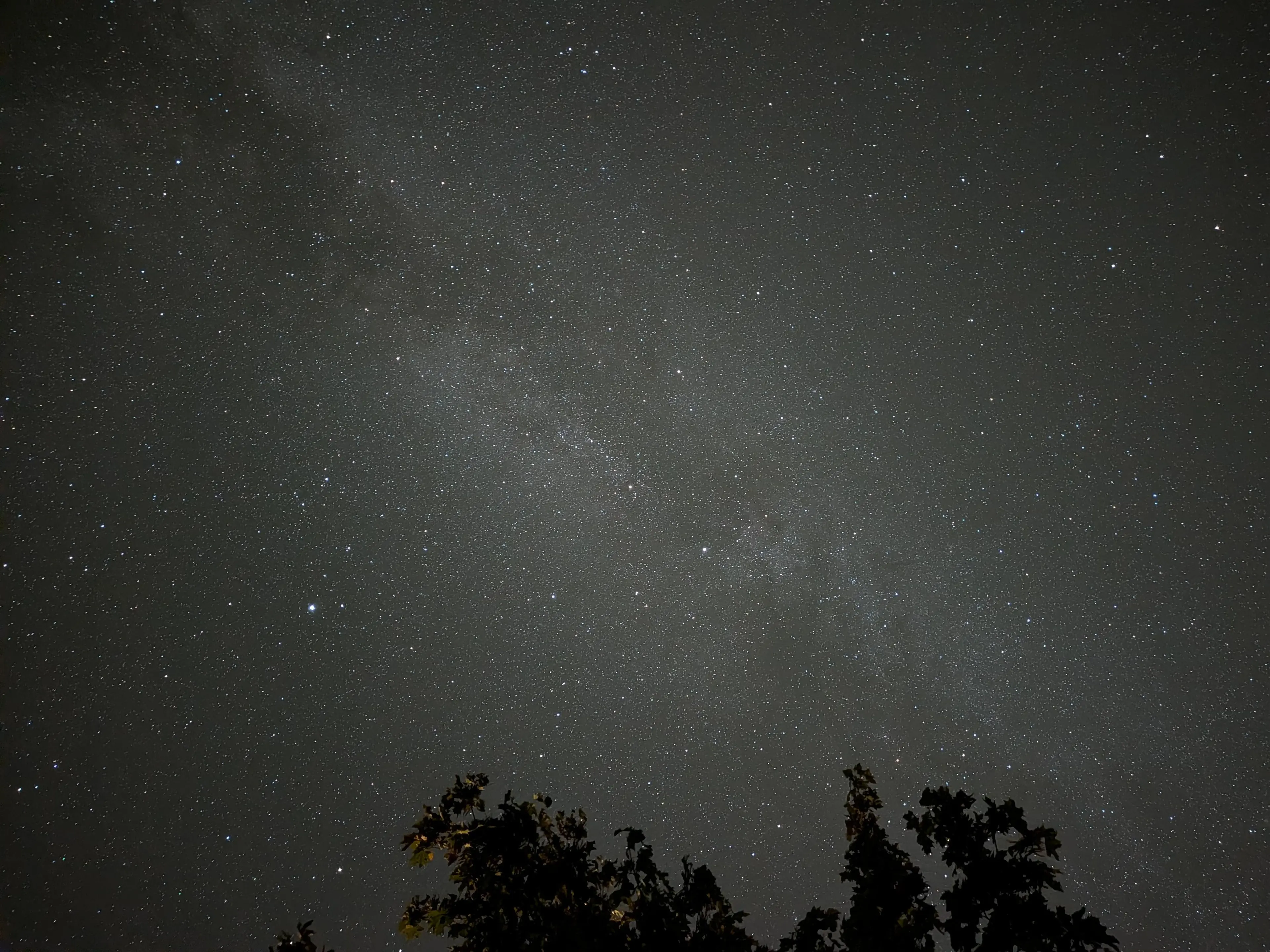 Star gazing